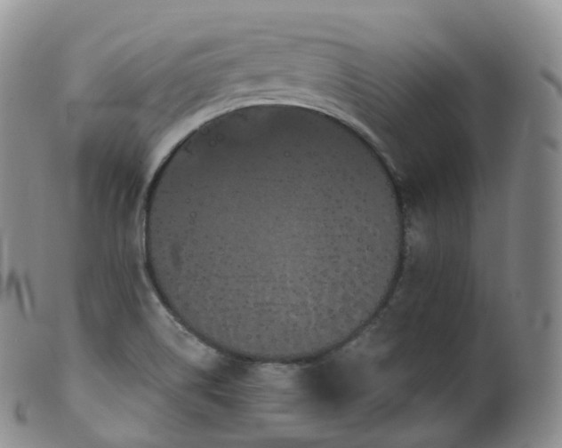 X0000099381514200805221753