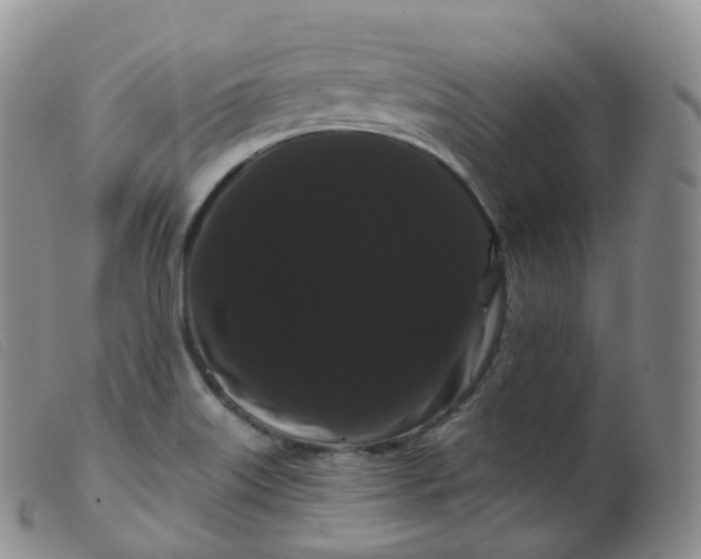 X0000099381515200805221753