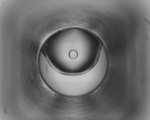 X0000099381516200805221753