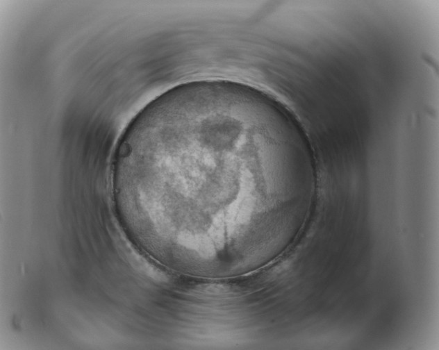 X0000099381517200805221753