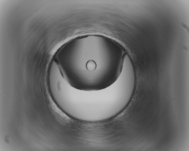 X0000099381518200805221753