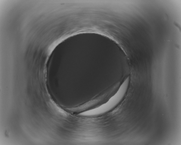 X0000099381519200805221753