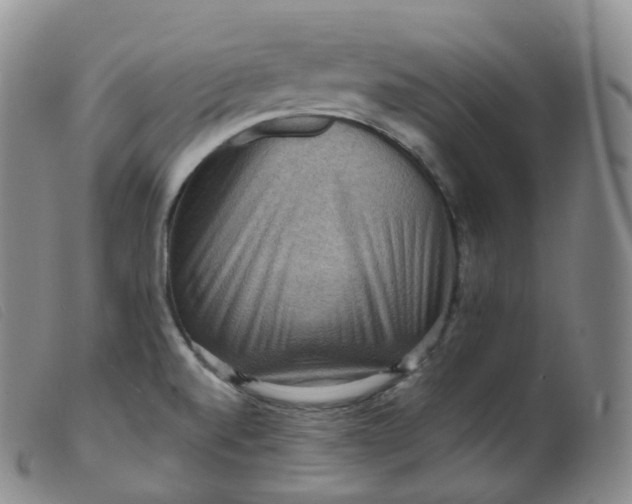 X0000099381520200805221753