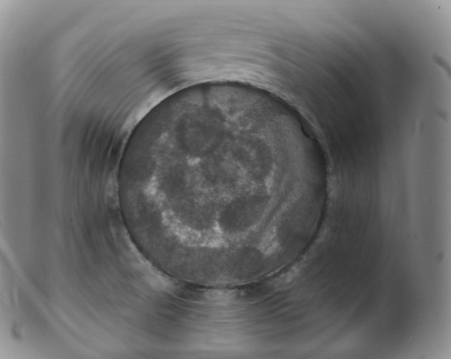 X0000099381521200805221753