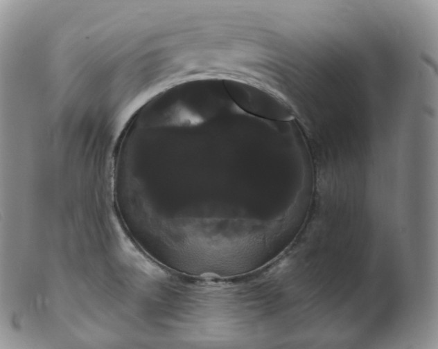 X0000099381522200805221753