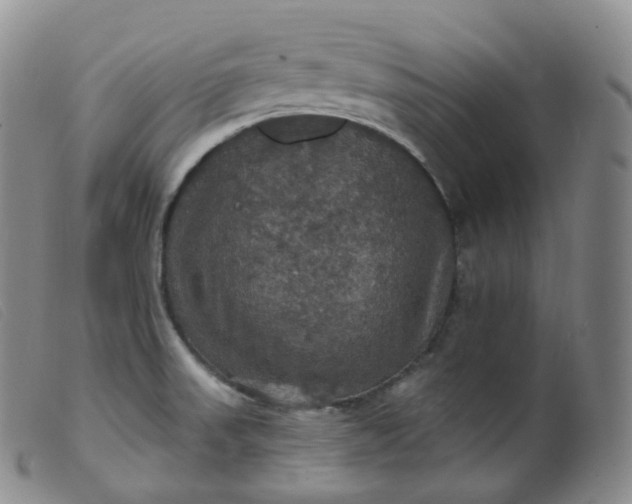 X0000099381523200805221753