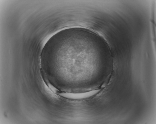 X0000099381524200805221753