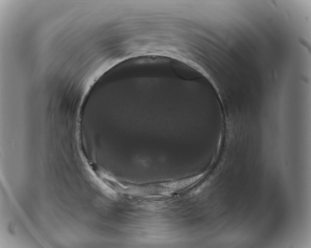 X0000099381525200805221753