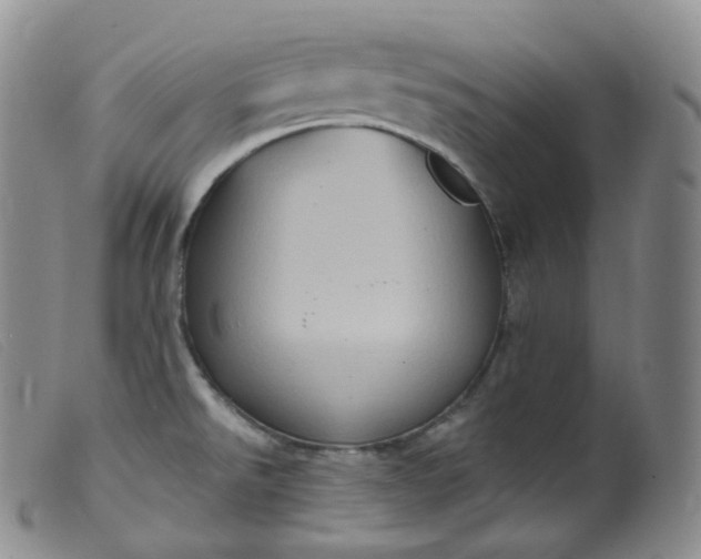 X0000099381526200805221753