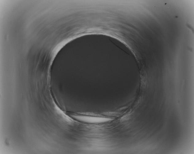 X0000099381527200805221753