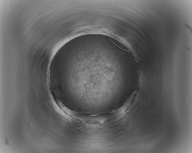 X0000099381528200805221753