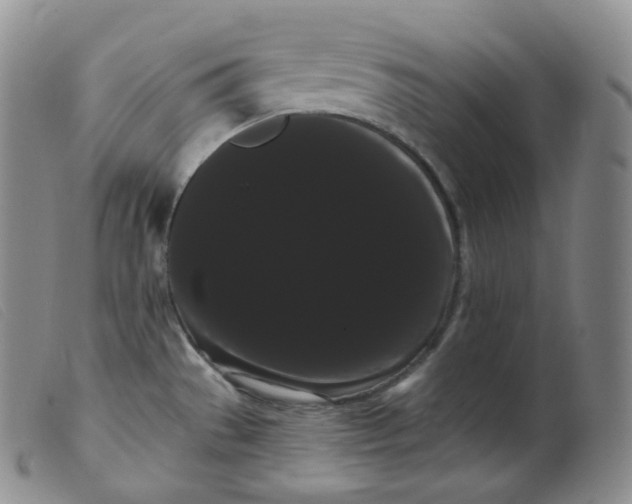 X0000099381529200805221753