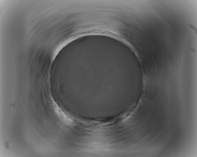 X0000099381530200805221753