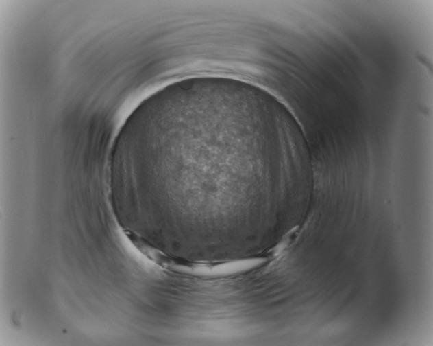 X0000099381531200805221753