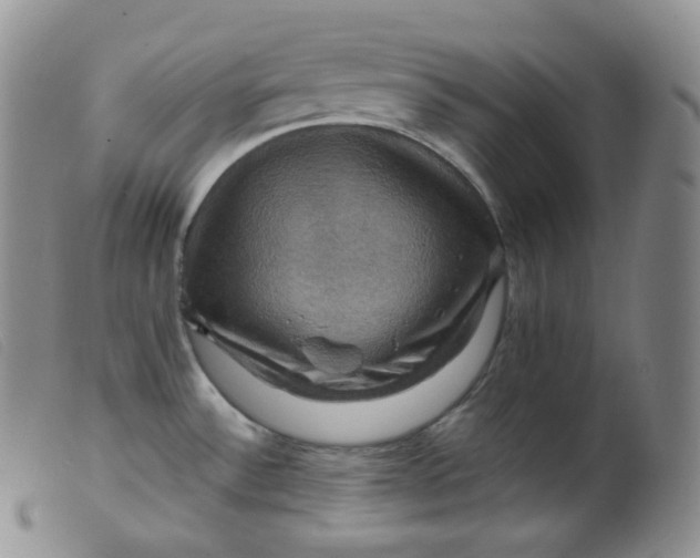 X0000099381532200805221754