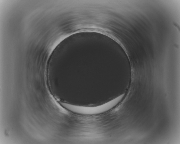 X0000099381533200805221754