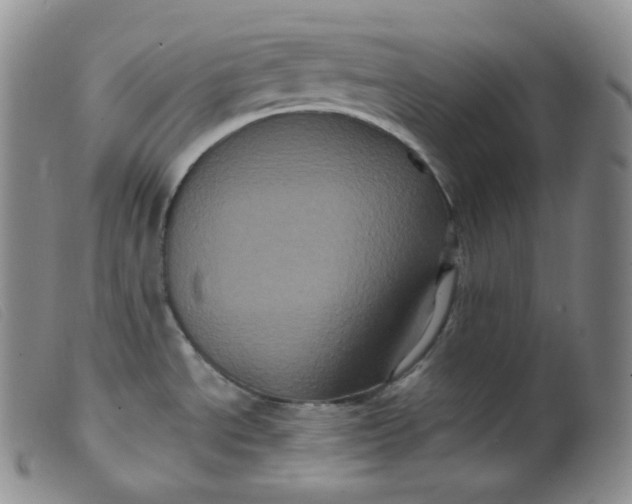 X0000099381534200805221754