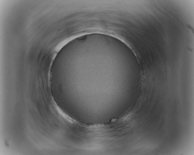 X0000099381535200805221754