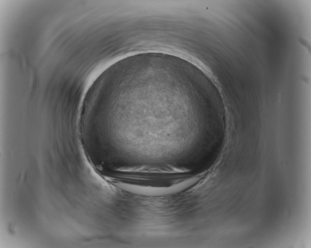 X0000099381536200805221754