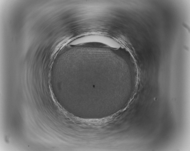 X0000099380001200805291138