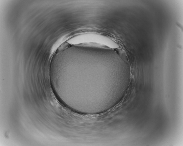 X0000099380004200805291138