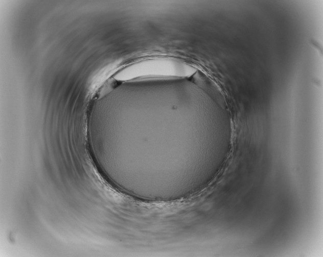 X0000099380005200805291138
