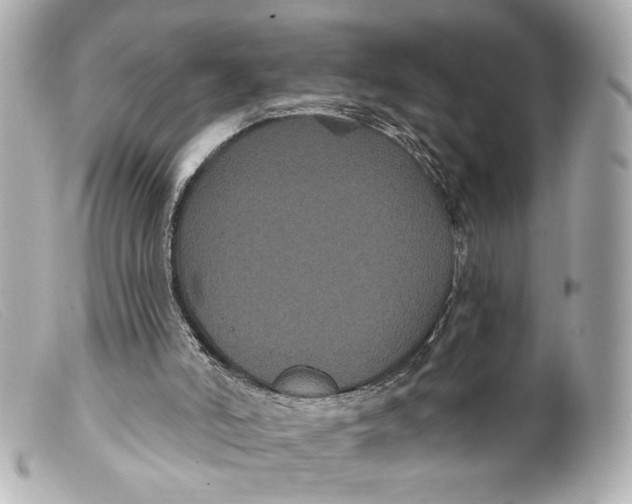 X0000099380006200805291138
