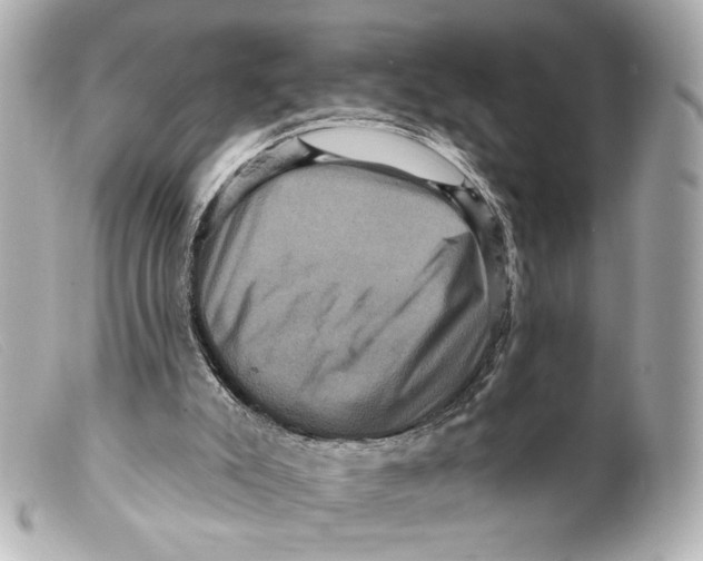 X0000099380007200805291138