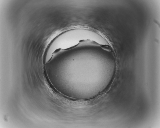 X0000099380008200805291138