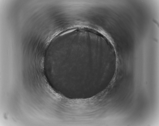 X0000099380009200805291138
