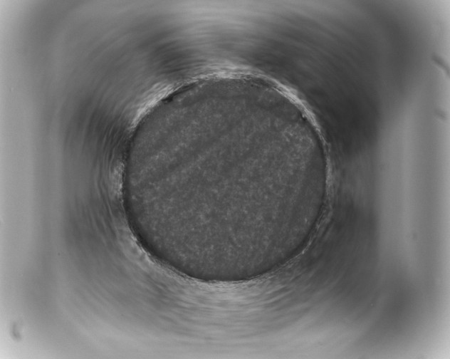 X0000099380010200805291138