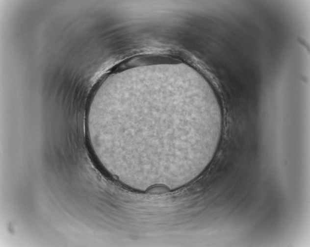 X0000099380011200805291138