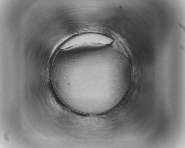 X0000099380012200805291138