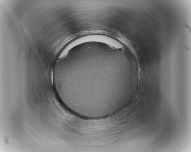X0000099380013200805291138