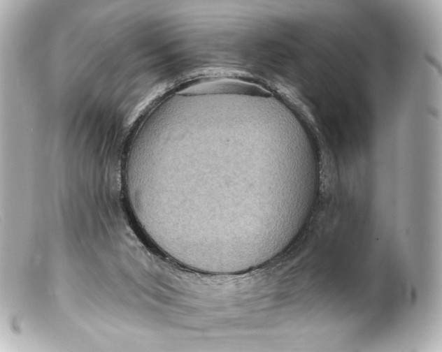 X0000099380015200805291138