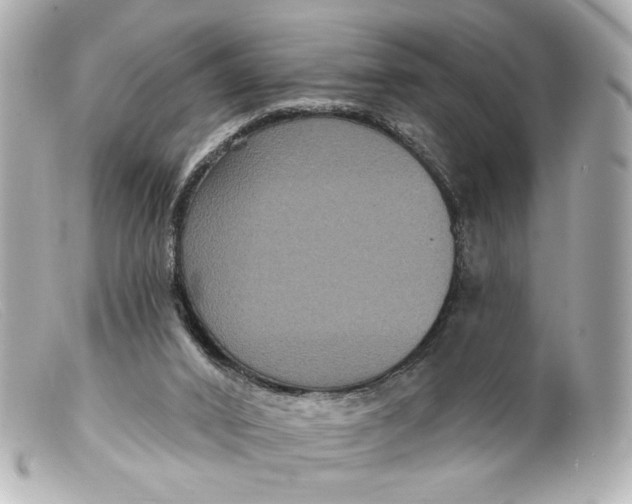 X0000099380016200805291138