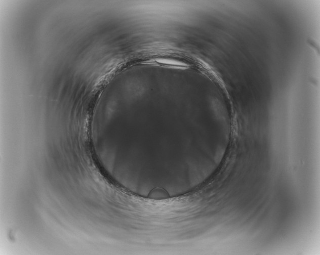 X0000099380018200805291138