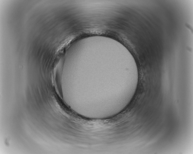 X0000099380020200805291138
