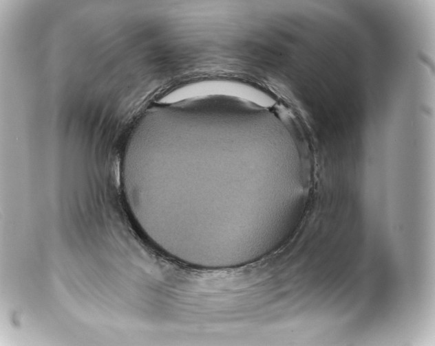 X0000099380021200805291138