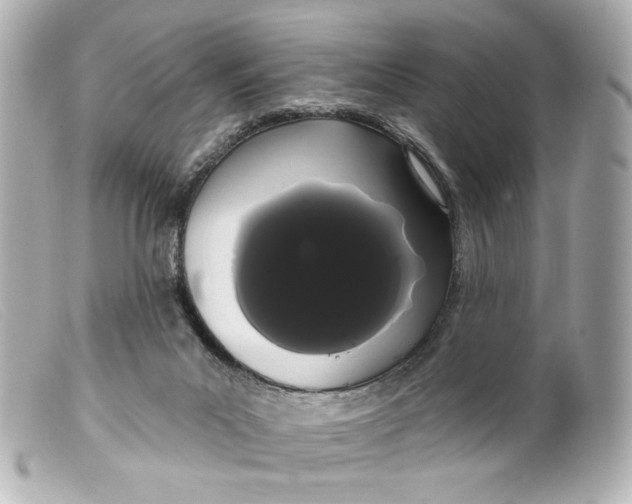 X0000099380023200805291138