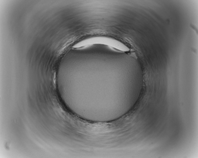 X0000099380024200805291138