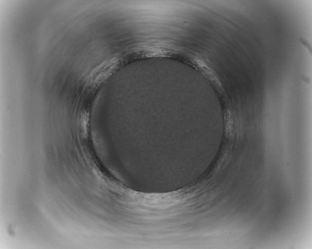 X0000099380026200805291138
