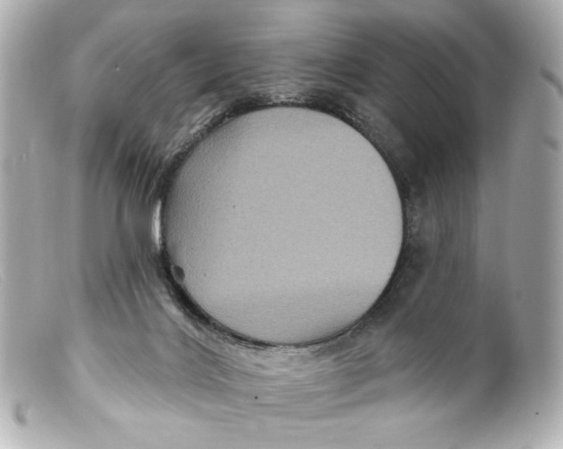 X0000099380028200805291138
