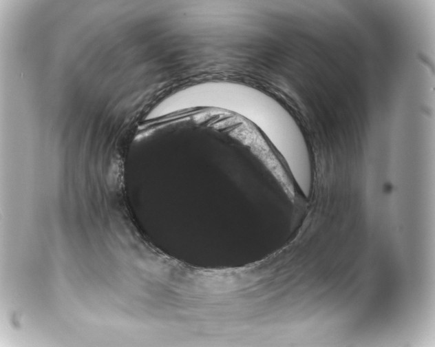 X0000099380029200805291138