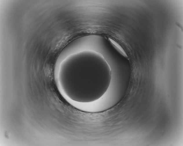 X0000099380031200805291138