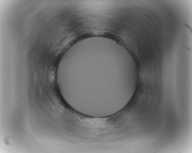 X0000099380032200805291138