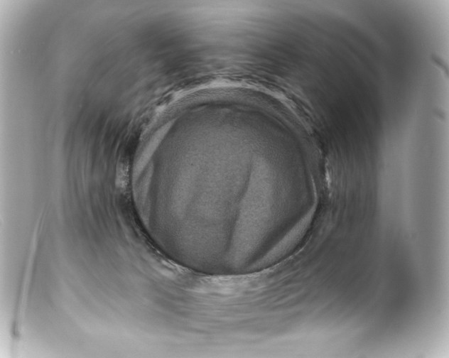 X0000099380033200805291138