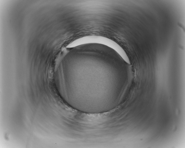 X0000099380037200805291138