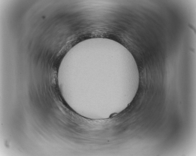 X0000099380038200805291138