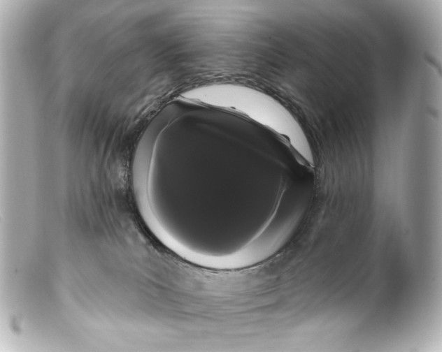 X0000099380039200805291138